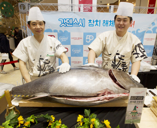롯데자산개발은 지난 8일 서울 진관동 롯데몰 은평에서 롯데월드타워 개장을 기념해 '대형 참치 해체쇼'를 진행, 관람고객 555명에게 초밥을 제공했다. 이날 행사에서 요리사들이 대형 참치를 선보이고 있다. <롯데자산개발 제공>